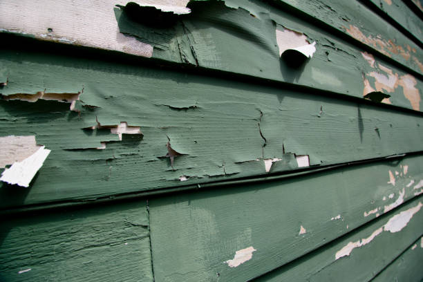 Best Siding Repair  in Daphne, AL