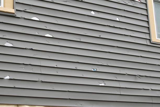 Affordable Siding Repair and Maintenance Services in Daphne, AL